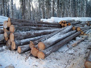 получить лес бесплатно